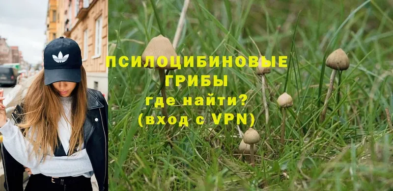 где можно купить   Узловая  мега как войти  Псилоцибиновые грибы Magic Shrooms 